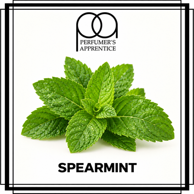 Ароматизатор TPA Spearmint (М'ята)