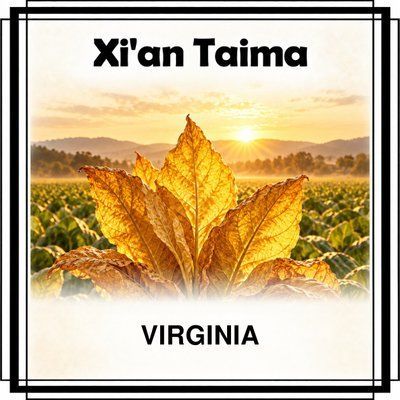 VIRGINIA Xian Taima