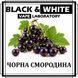 Ароматизатор Black&White Чорна смородина