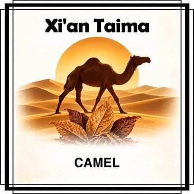 Camel Xian Taima