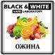 Ароматизатор Black&White Ожина 688945194 фото